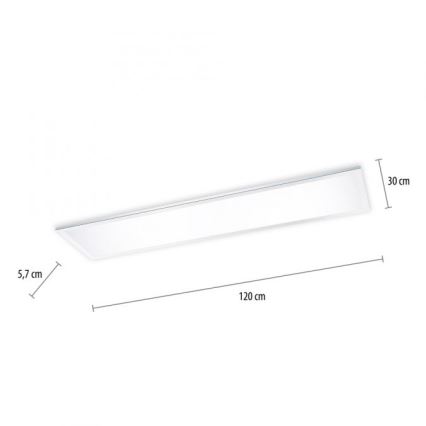 Paul Neuhaus 8112-17 - LED-himmennettävä kattovalaisin FLAG LED / 35W / 230V