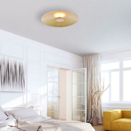 Paul Neuhaus 8132-12 - LED-himmennettävä kattovalaisin PLATE LED / 25W / 230V