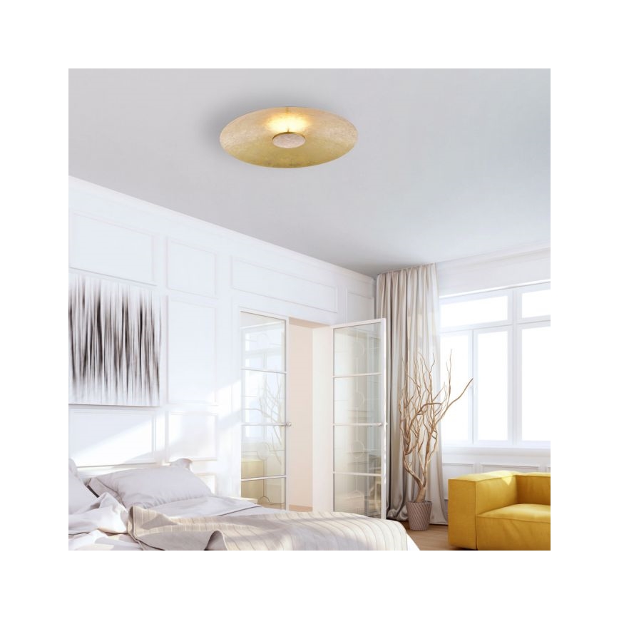 Paul Neuhaus 8132-12 - LED-himmennettävä kattovalaisin PLATE LED / 25W / 230V