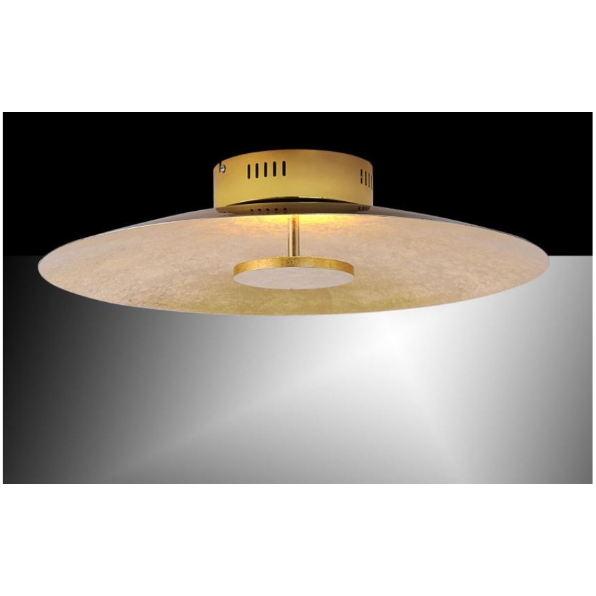 Paul Neuhaus 8132-12 - LED-himmennettävä kattovalaisin PLATE LED / 25W / 230V