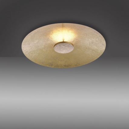 Paul Neuhaus 8132-12 - LED-himmennettävä kattovalaisin PLATE LED / 25W / 230V