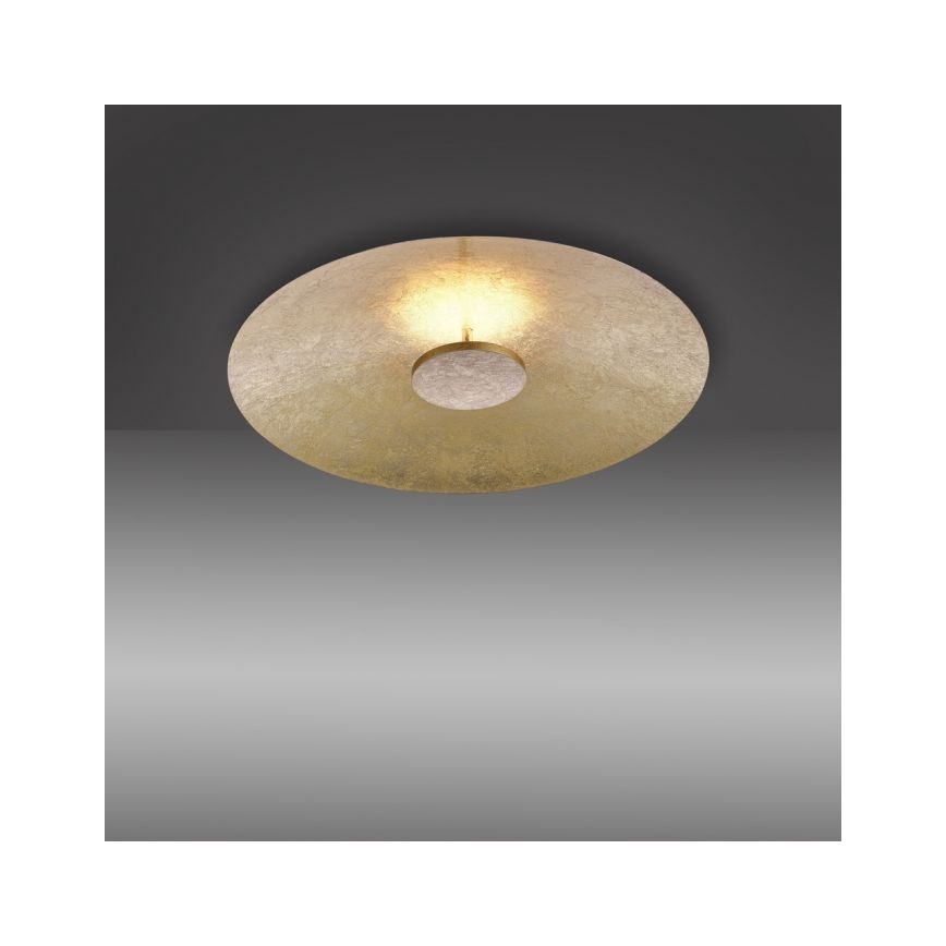 Paul Neuhaus 8132-12 - LED-himmennettävä kattovalaisin PLATE LED / 25W / 230V