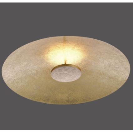 Paul Neuhaus 8132-12 - LED-himmennettävä kattovalaisin PLATE LED / 25W / 230V