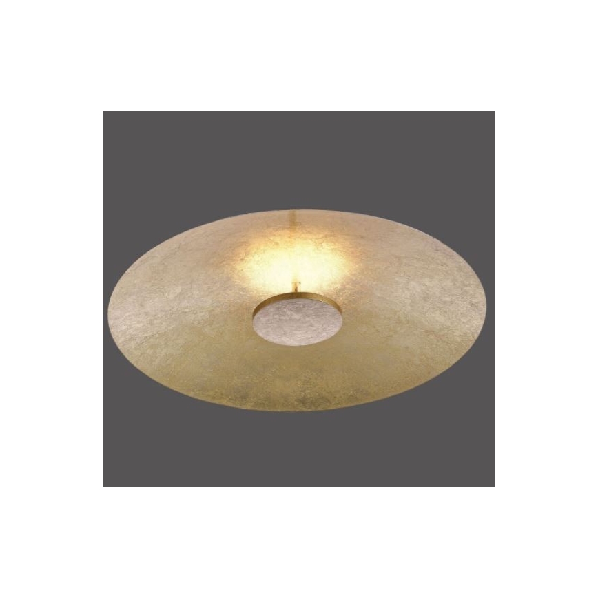 Paul Neuhaus 8132-12 - LED-himmennettävä kattovalaisin PLATE LED / 25W / 230V