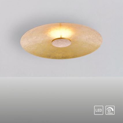 Paul Neuhaus 8132-12 - LED-himmennettävä kattovalaisin PLATE LED / 25W / 230V