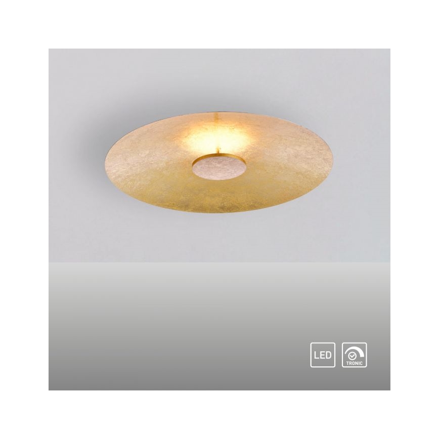 Paul Neuhaus 8132-12 - LED-himmennettävä kattovalaisin PLATE LED / 25W / 230V