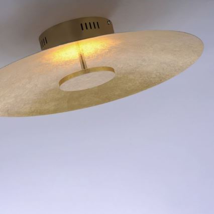 Paul Neuhaus 8132-12 - LED-himmennettävä kattovalaisin PLATE LED / 25W / 230V