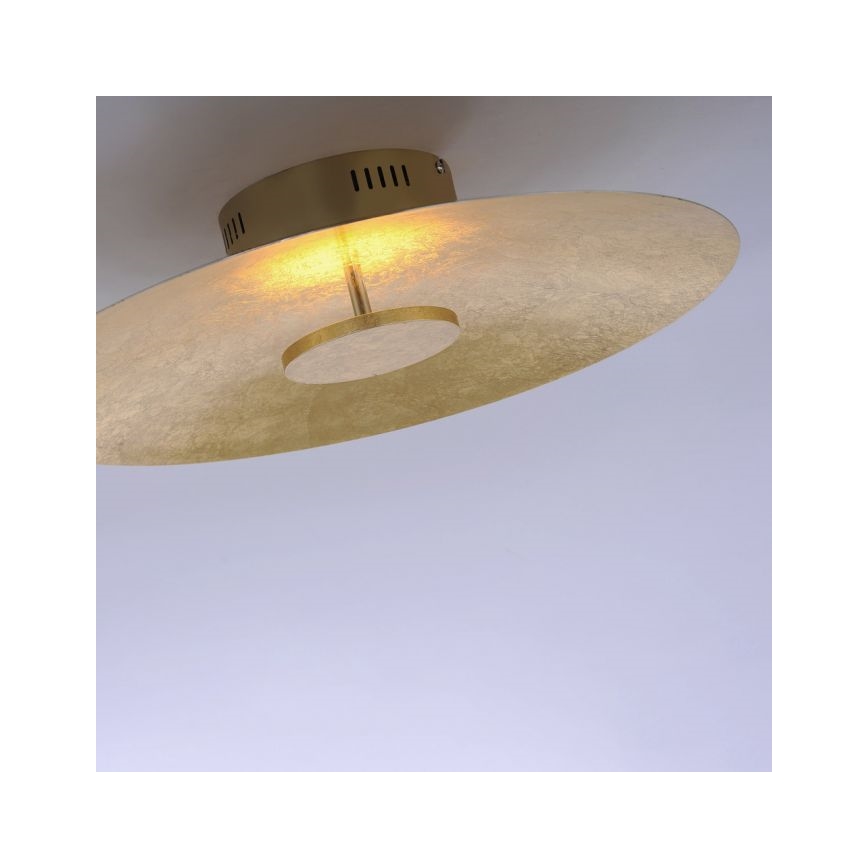 Paul Neuhaus 8132-12 - LED-himmennettävä kattovalaisin PLATE LED / 25W / 230V