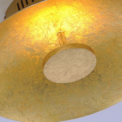 Paul Neuhaus 8132-12 - LED-himmennettävä kattovalaisin PLATE LED / 25W / 230V
