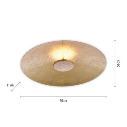 Paul Neuhaus 8132-12 - LED-himmennettävä kattovalaisin PLATE LED / 25W / 230V