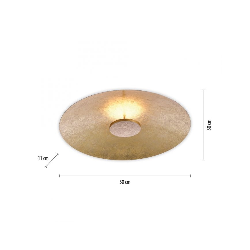 Paul Neuhaus 8132-12 - LED-himmennettävä kattovalaisin PLATE LED / 25W / 230V