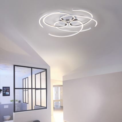 Paul Neuhaus 8165-55 - Himmennettävä LED-kattovalaisin DANILO 3xLED/12W/230V