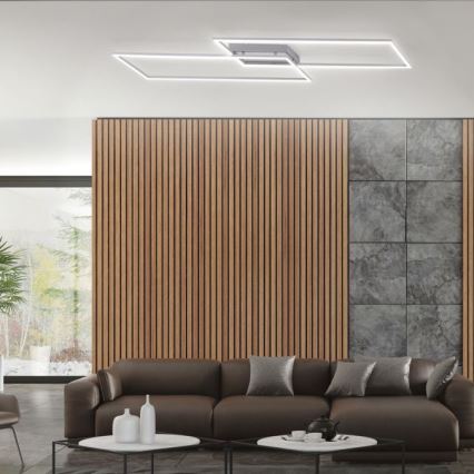 Paul Neuhaus 8194-55 - LED-himmennyskattokruunu INIGO 2xLED/20W/230V