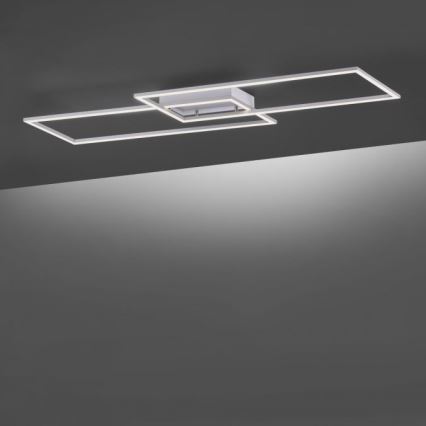 Paul Neuhaus 8194-55 - LED-himmennyskattokruunu INIGO 2xLED/20W/230V