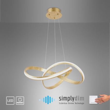 Paul Neuhaus 8291-12 - Himmennettävä LED-kattokruunu johdossa MELINDA LED/30W/230V