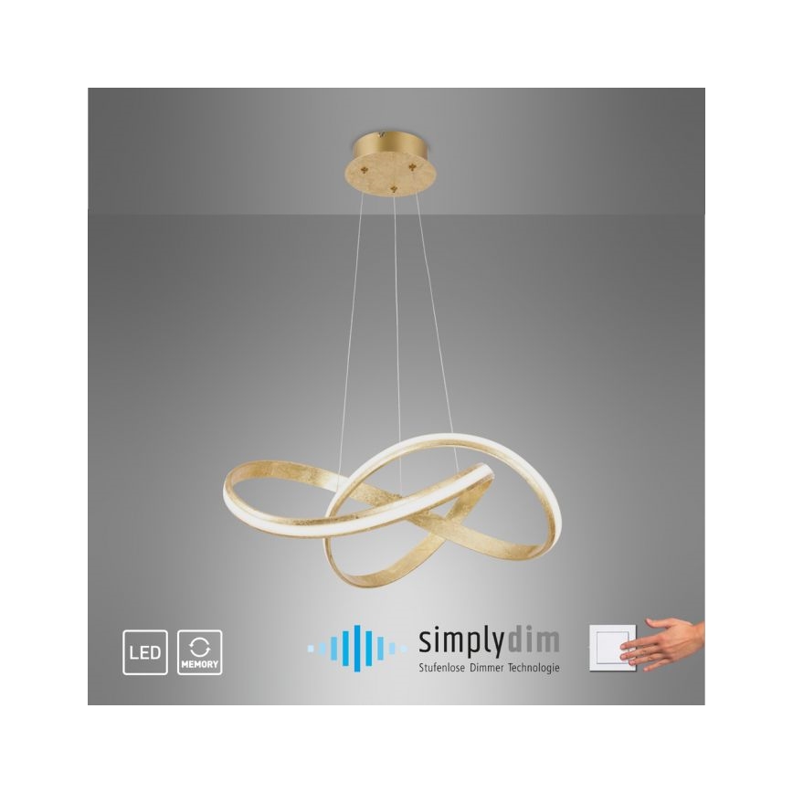 Paul Neuhaus 8291-12 - Himmennettävä LED-kattokruunu johdossa MELINDA LED/30W/230V