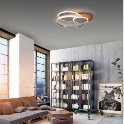 Paul Neuhaus 8328-79 - Himmennettävä LED-kattovalaisin PALMA LED/50W/230V 2700-5000K mänty + kauko-ohjaus