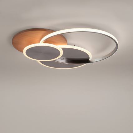 Paul Neuhaus 8328-79 - Himmennettävä LED-kattovalaisin PALMA LED/50W/230V 2700-5000K mänty + kauko-ohjaus