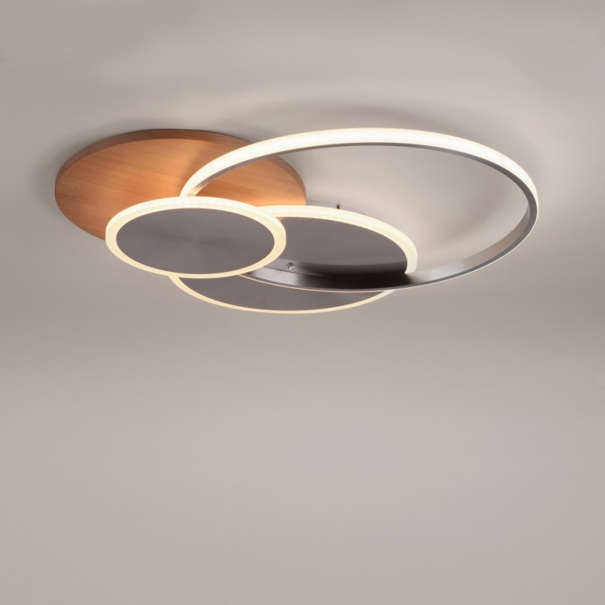 Paul Neuhaus 8328-79 - Himmennettävä LED-kattovalaisin PALMA LED/50W/230V 2700-5000K mänty + kauko-ohjaus