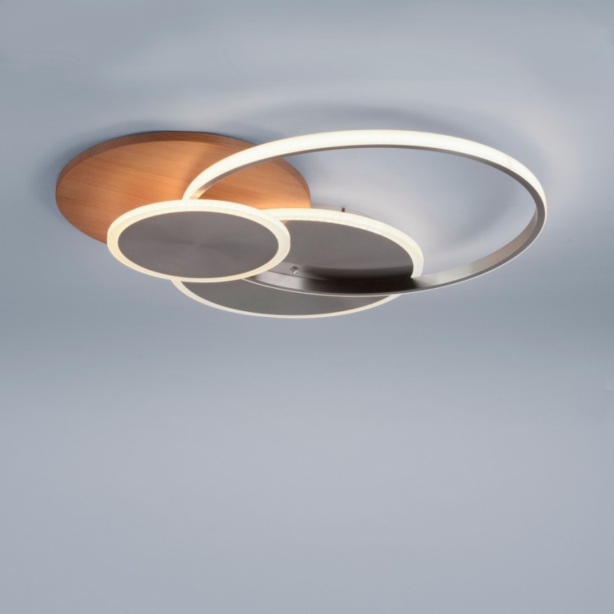 Paul Neuhaus 8328-79 - Himmennettävä LED-kattovalaisin PALMA LED/50W/230V 2700-5000K mänty + kauko-ohjaus