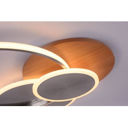 Paul Neuhaus 8328-79 - Himmennettävä LED-kattovalaisin PALMA LED/50W/230V 2700-5000K mänty + kauko-ohjaus