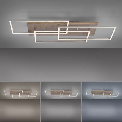 Paul Neuhaus 8330-79 - LED-himmennyskattokruunu PALMA 3xLED/12W/230V mänty + kauko-ohjaus