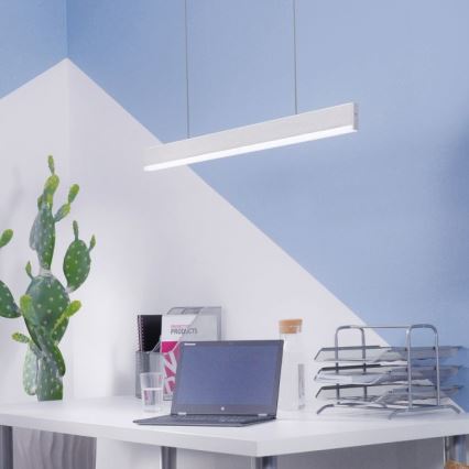 Paul Neuhaus 8363-55 - LED-himmennettävä kattokruunu narulla ARINA LED / 20W / 230V