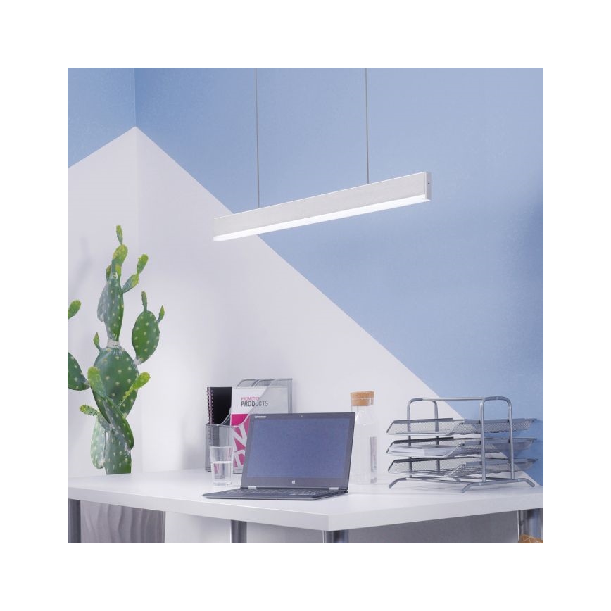 Paul Neuhaus 8363-55 - LED-himmennettävä kattokruunu narulla ARINA LED / 20W / 230V