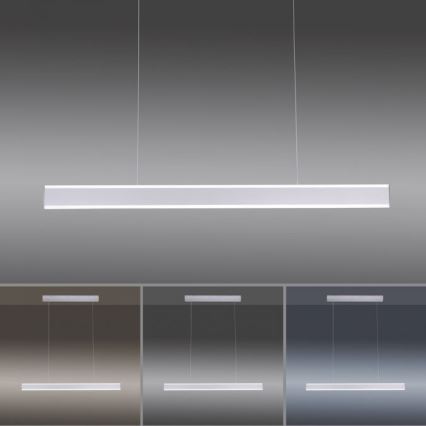 Paul Neuhaus 8363-55 - LED-himmennettävä kattokruunu narulla ARINA LED / 20W / 230V