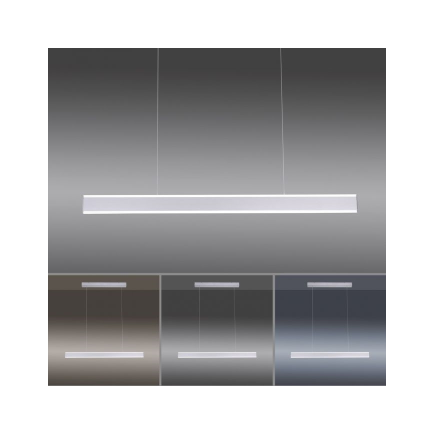 Paul Neuhaus 8363-55 - LED-himmennettävä kattokruunu narulla ARINA LED / 20W / 230V