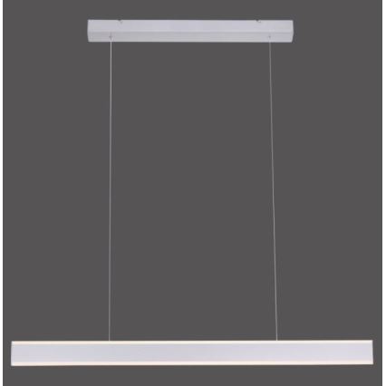 Paul Neuhaus 8363-55 - LED-himmennettävä kattokruunu narulla ARINA LED / 20W / 230V