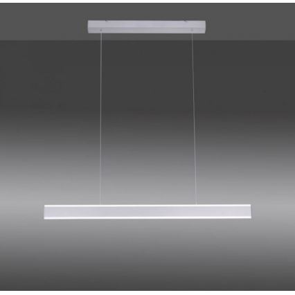 Paul Neuhaus 8363-55 - LED-himmennettävä kattokruunu narulla ARINA LED / 20W / 230V