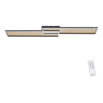 Paul Neuhaus 8371-18 - Himmennettävä LED-kattovalaisin AMARA LED/40W/230V + kauko-ohjaus