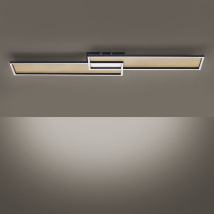 Paul Neuhaus 8371-18 - Himmennettävä LED-kattovalaisin AMARA LED/40W/230V + kauko-ohjaus