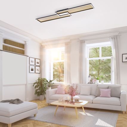 Paul Neuhaus 8371-18 - Himmennettävä LED-kattovalaisin AMARA LED/40W/230V + kauko-ohjaus