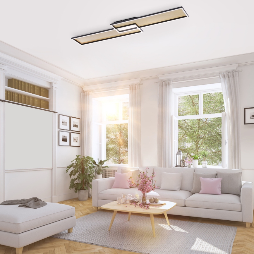 Paul Neuhaus 8371-18 - Himmennettävä LED-kattovalaisin AMARA LED/40W/230V + kauko-ohjaus