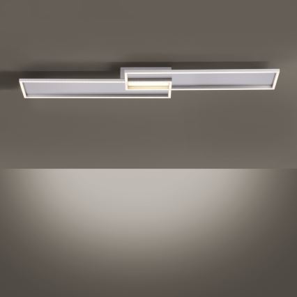 Paul Neuhaus 8371-55 - Himmennettävä LED-kattovalaisin AMARA LED/40W/230V + kauko-ohjaus
