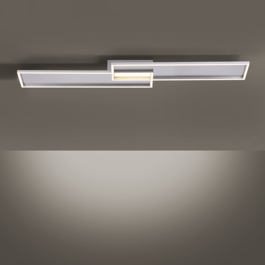 Paul Neuhaus 8371-55 - Himmennettävä LED-kattovalaisin AMARA LED/40W/230V + kauko-ohjaus
