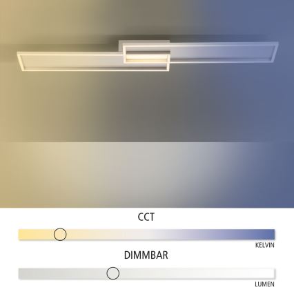 Paul Neuhaus 8371-55 - Himmennettävä LED-kattovalaisin AMARA LED/40W/230V + kauko-ohjaus