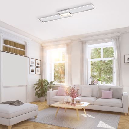 Paul Neuhaus 8371-55 - Himmennettävä LED-kattovalaisin AMARA LED/40W/230V + kauko-ohjaus
