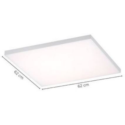 Paul Neuhaus 8492-16 - Himmennettävä LED-kattovalaisin KEHITTÖMÄT LED / 35W / 230V + kaukosäädin