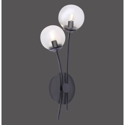 Paul Neuhaus 9014-18 - LED-seinävalo WIDOW 2xG9/3W/230V
