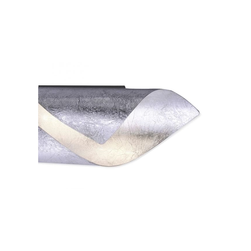 Paul Neuhaus 9030-21 - LED-seinävalo NEVIS LED/6W/230V hopea
