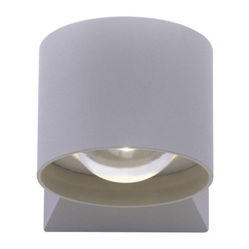 Paul Neuhaus 9441-21 - LED Ulkoseinävalo TIMO 2xLED/2W/230V IP54