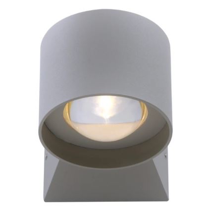 Paul Neuhaus 9441-21 - LED Ulkoseinävalo TIMO 2xLED/2W/230V IP54