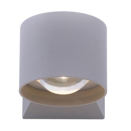 Paul Neuhaus 9441-21 - LED Ulkoseinävalo TIMO 2xLED/2W/230V IP54
