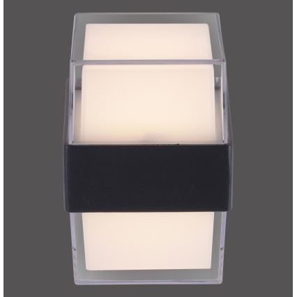 Paul Neuhaus 9480-13 - LED Ulkoseinävalo CARA LED/8W/230V IP44