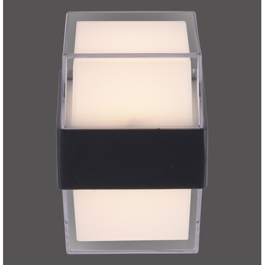 Paul Neuhaus 9480-13 - LED Ulkoseinävalo CARA LED/8W/230V IP44
