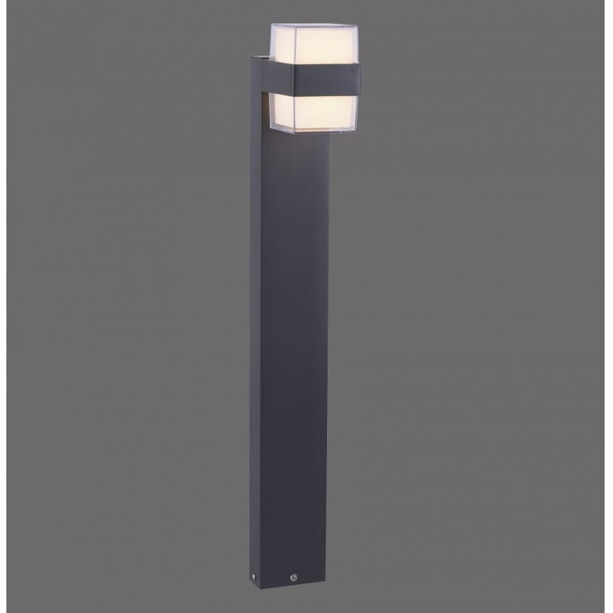 Paul Neuhaus 9481-13 - LED Ulkolamppu CARA LED/8W/230V IP44
