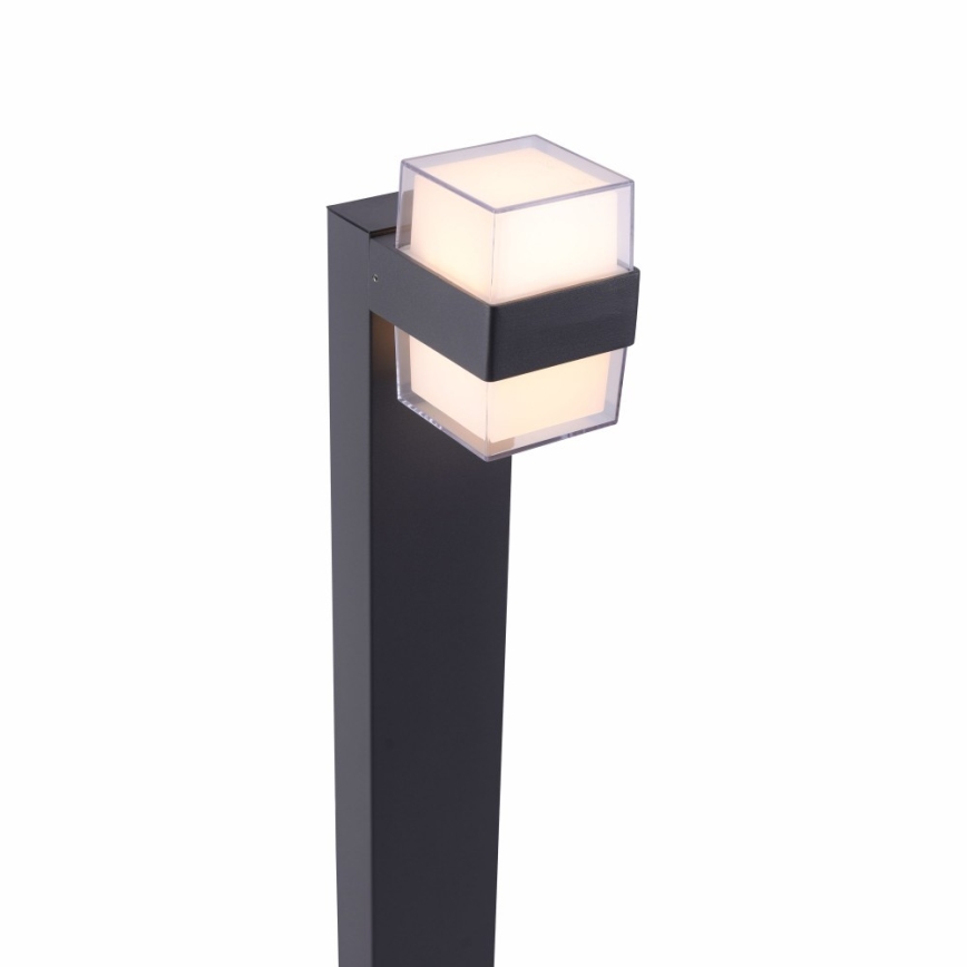 Paul Neuhaus 9481-13 - LED Ulkolamppu CARA LED/8W/230V IP44
